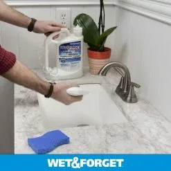 Wet and Forget Mold Removers 64-fl oz Liquid Mold Remover -Cleaning Supplies Shop 07924815