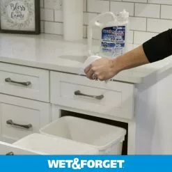 Wet and Forget Mold Removers 64-fl oz Liquid Mold Remover -Cleaning Supplies Shop 07924817