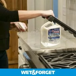 Wet and Forget Mold Removers 64-fl oz Liquid Mold Remover -Cleaning Supplies Shop 07924818