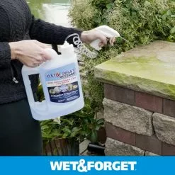 Wet and Forget Outdoor Cleaners 64-oz Multi-Surface Outdoor Cleaner -Cleaning Supplies Shop 08539293