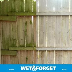 Wet and Forget Outdoor Cleaners 1-Gallon Multi-Surface Concentrated Outdoor Cleaner -Cleaning Supplies Shop 08539535