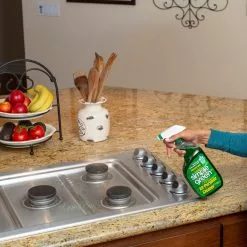 Simple Green All-Purpose Cleaners 32-fl oz Sassafras Liquid All-Purpose Cleaner -Cleaning Supplies Shop 09230923