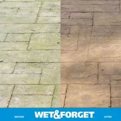 Wet and Forget Outdoor Cleaners 48-fl oz Mold and Mildew Stain Remover Concentrated Outdoor Cleaner -Cleaning Supplies Shop 09697096