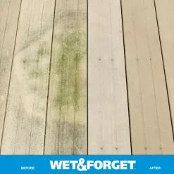 Wet and Forget Outdoor Cleaners 48-fl oz Mold and Mildew Stain Remover Concentrated Outdoor Cleaner -Cleaning Supplies Shop 09697097