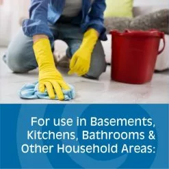 Gonzo All-Purpose Cleaners 128-fl oz Citrus Disinfectant Liquid All-Purpose Cleaner -Cleaning Supplies Shop 09886161