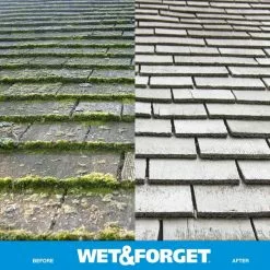 Wet and Forget Outdoor Cleaners 48-fl oz Mold and Mildew Stain Remover Concentrated Outdoor Cleaner -Cleaning Supplies Shop 11393736