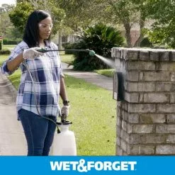 Wet and Forget Outdoor Cleaners 1-Gallon Multi-Surface Concentrated Outdoor Cleaner -Cleaning Supplies Shop 11393743