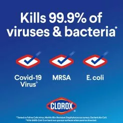 Clorox Germicidal Bleach, Regular- 81-oz Bottle -Cleaning Supplies Shop 14545319