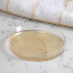 Mold Armor Mold Test Kits Mold Test Kit -Cleaning Supplies Shop 15884063