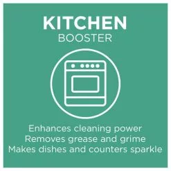 20 Mule Team Borax Laundry Stain Removers 65-oz Laundry Stain Remover -Cleaning Supplies Shop 16885063