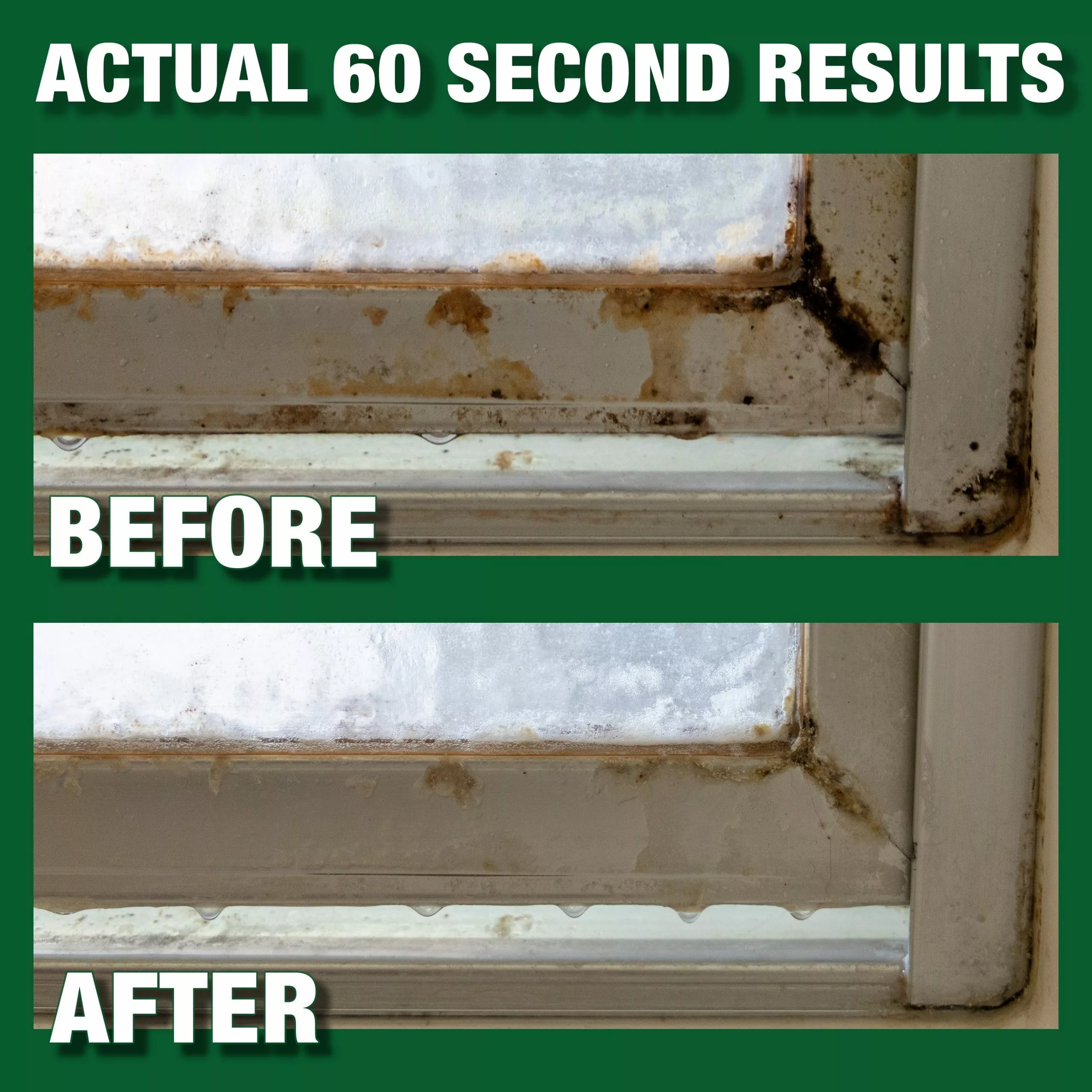 Mold Armor Mold Removers Mold Armor Rapid Clean Remediation 32 -fl oz 7 Mold Armor Mold Removers Mold Armor Rapid Clean Remediation 32 -fl oz - Image 5