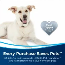 BISSELL Steam Cleaner Chemicals 48-fl oz Steam Cleaner Chemical -Cleaning Supplies Shop 42008647