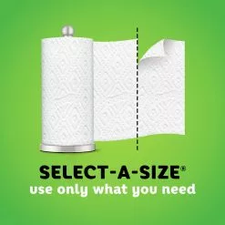 Bounty Select-a-Size Double-Roll 12-Count Paper Towels -Cleaning Supplies Shop 42470402