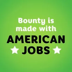 Bounty Select-a-Size Double-Roll 12-Count Paper Towels -Cleaning Supplies Shop 42470403