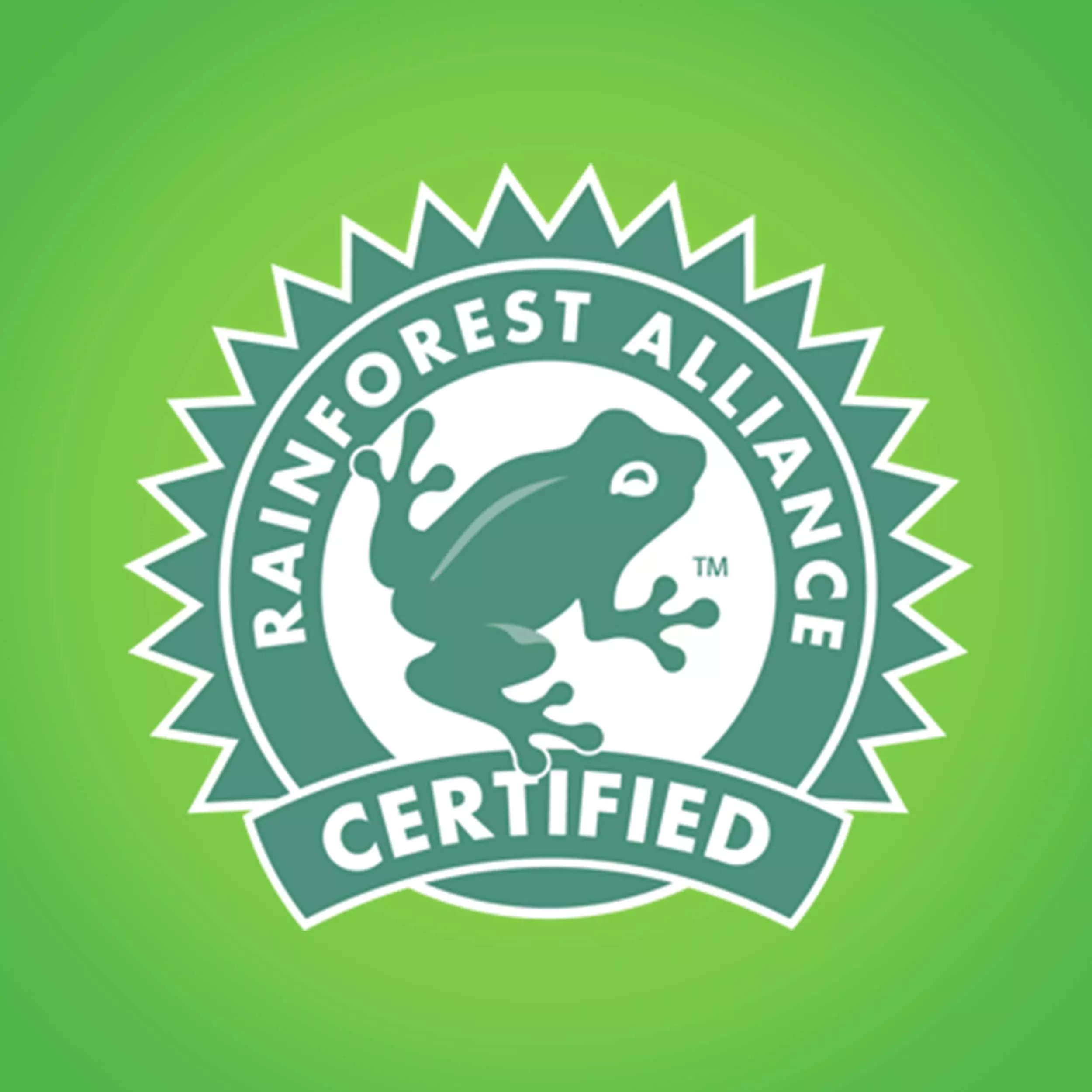 Bounty Select-a-Size Double-Roll 6-Count Paper Towels 11 Bounty Select-a-Size Double-Roll 6-Count Paper Towels - Image 9