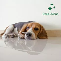 Pinalen All-Purpose Cleaners 128-fl oz Pine Liquid All-Purpose Cleaner -Cleaning Supplies Shop 43177381