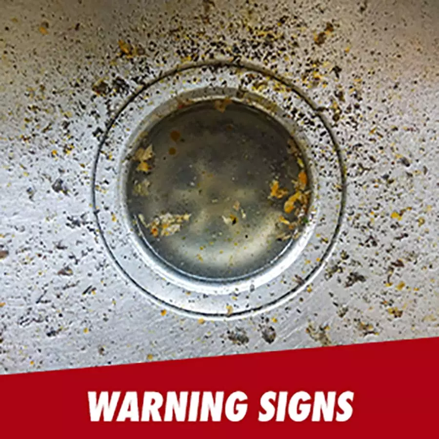 Drano Drain Cleaners Dual-force foamer Clog Remover 17-fl oz Drain Cleaner 6 Drano Drain Cleaners Dual-force foamer Clog Remover 17-fl oz Drain Cleaner - Image 4