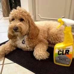 CLR Multipurpose Bathroom Cleaners 26-oz Foam Multipurpose Bathroom Cleaner -Cleaning Supplies Shop 45467317