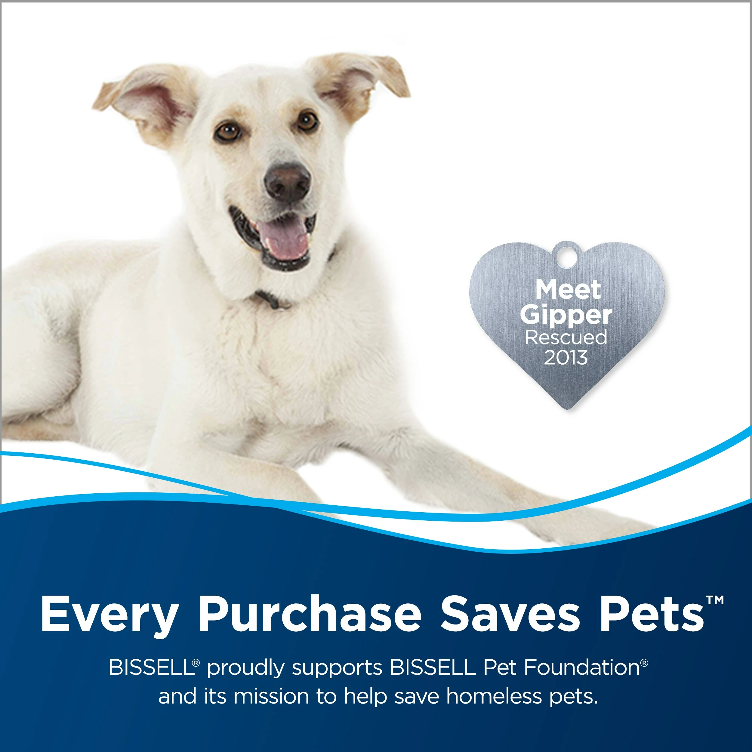 BISSELL Steam Cleaner Chemicals 60-oz Steam Cleaner Chemical 5 BISSELL Steam Cleaner Chemicals 60-oz Steam Cleaner Chemical - Image 3