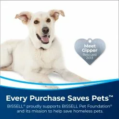 BISSELL Steam Cleaner Chemicals 40-fl oz Concentrated Steam Cleaner Chemical -Cleaning Supplies Shop 45547480