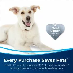 BISSELL Stain Pretreat 22 oz. Carpet Cleaning Solution -Cleaning Supplies Shop 45547523