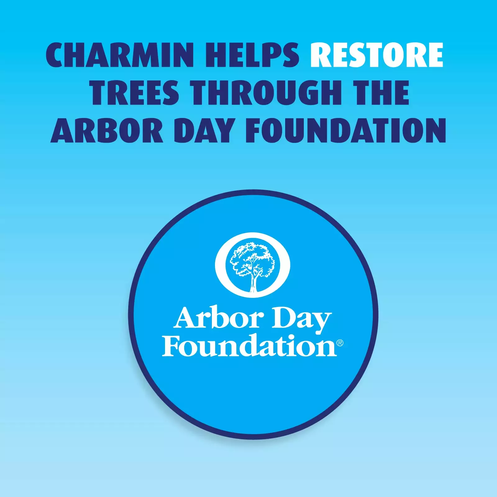 Charmin Ultra Soft Super Mega 8-Pack Toilet Paper 13 Charmin Ultra Soft Super Mega 8-Pack Toilet Paper - Image 11