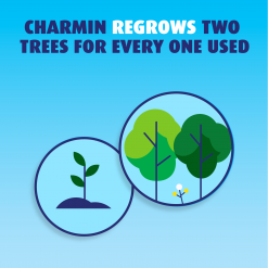 Charmin Ultra Strong Super Mega-Roll 8-Pack Toilet Paper -Cleaning Supplies Shop 45597083