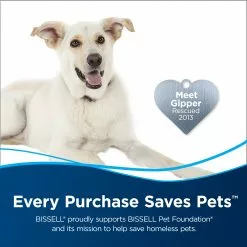 BISSELL 32-oz Steam Cleaner Chemicals 32-oz Steam Cleaner Chemical -Cleaning Supplies Shop 45602715