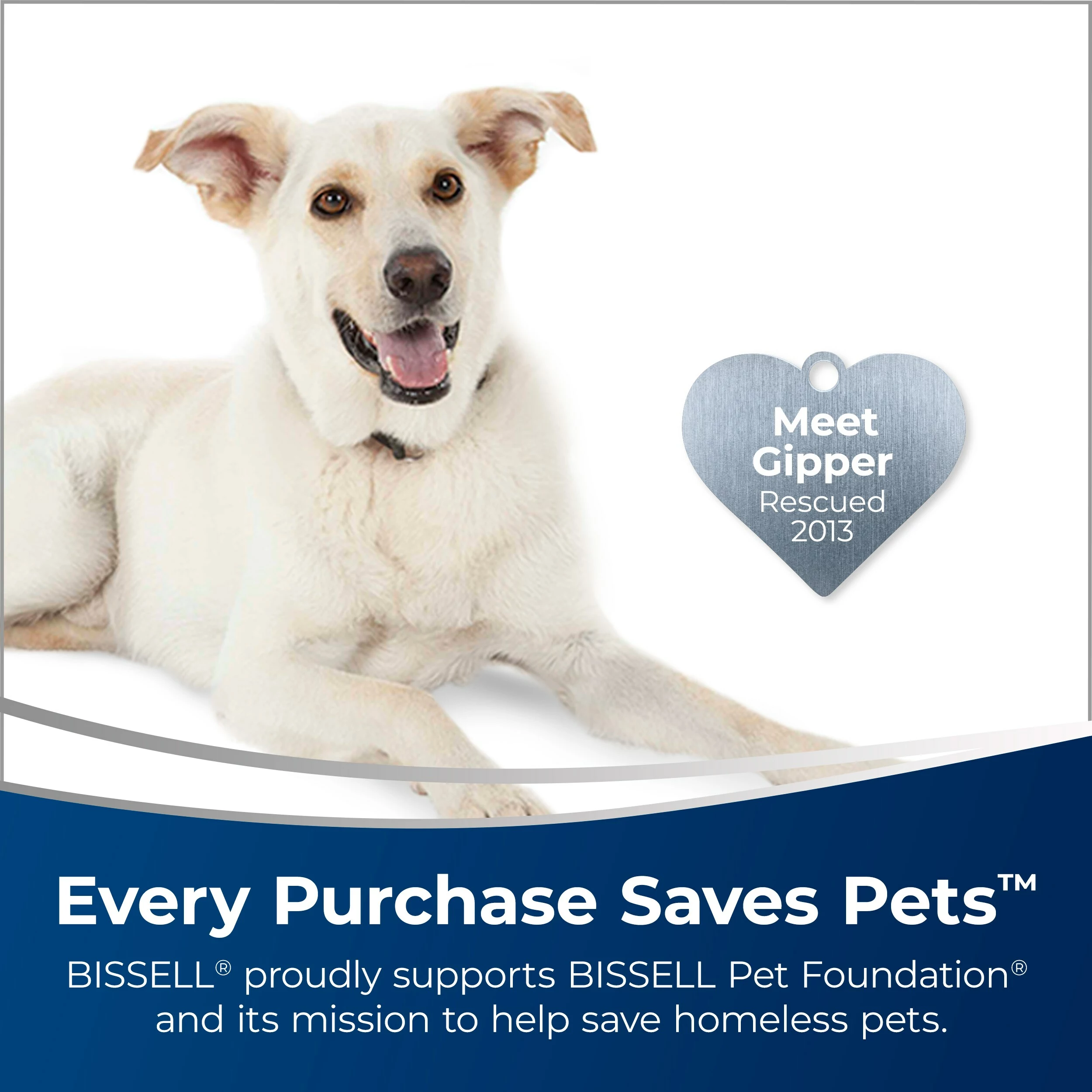 BISSELL Steam Cleaner Chemicals 60-oz Deep Cleaner Chemical 60-oz Concentrated Steam Cleaner Chemical 5 BISSELL Steam Cleaner Chemicals 60-oz Deep Cleaner Chemical 60-oz Concentrated Steam Cleaner Chemical - Image 3